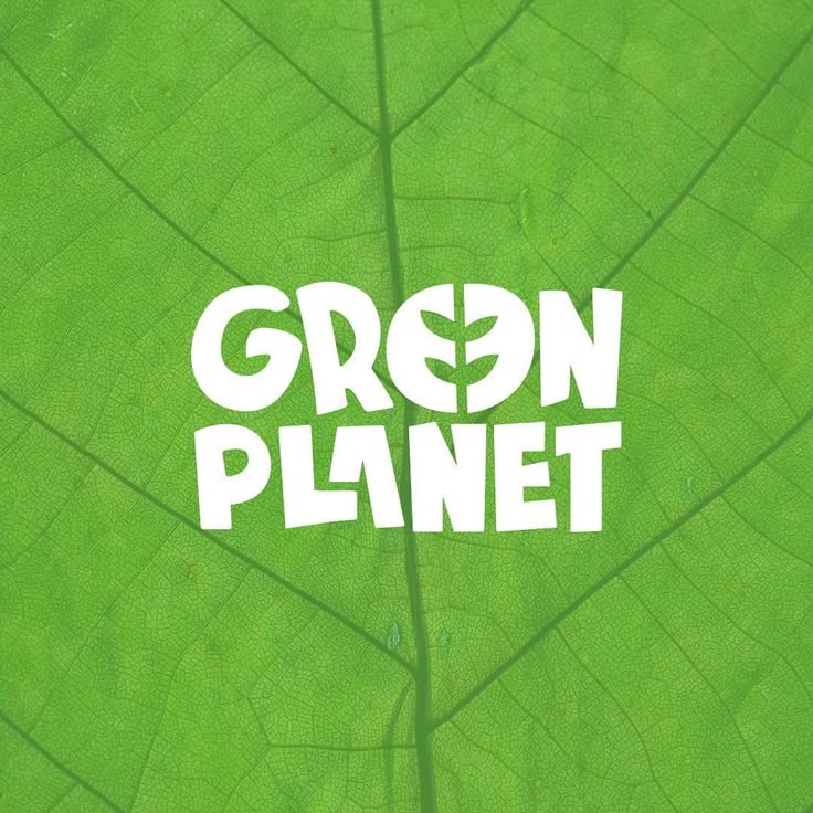Logo & branding